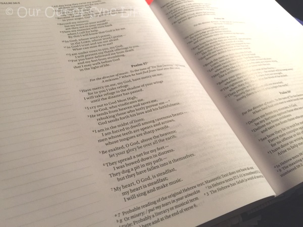 journaling_bible2