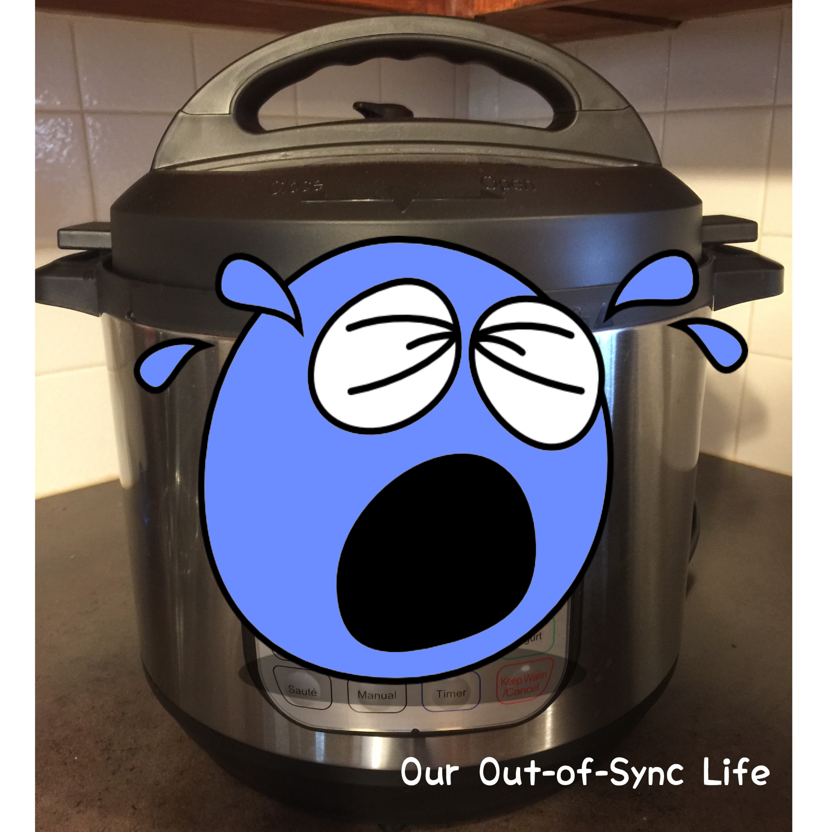 Instant Pot - Sad Face