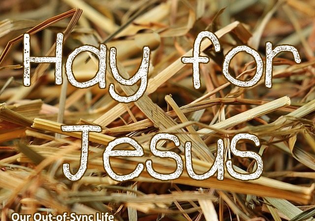 hay for Jesus